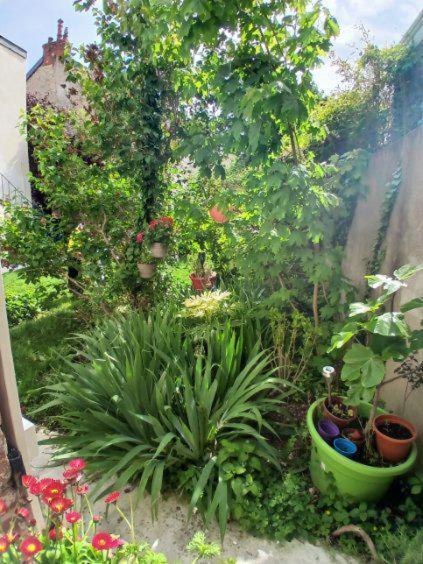 Appart Rez De Jardin ディジョン エクステリア 写真